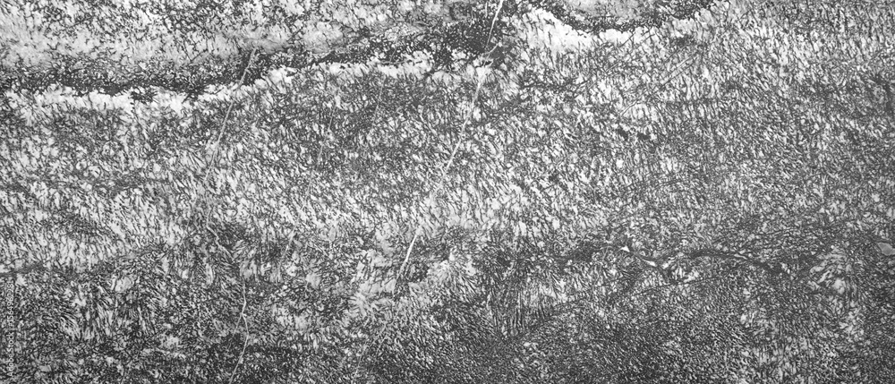 Poster Rough white gray texture wide background for web page banner template design.