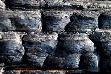 Close-Up of Charred Tree Bark After Wildfire