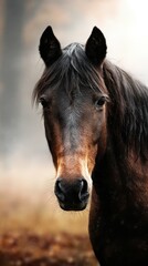Majestic brown horse with flowing mane stands gracefully in a misty forest during early morning light
