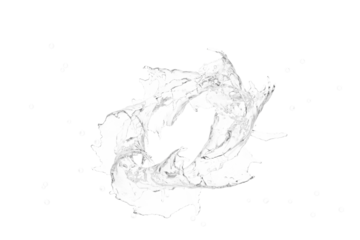 A grayscale abstract artwork depicting a swirling, ring-like formation resembling a nebula or galaxy, textured with fine lines and small, scattered dots. The central void is irregularly shaped