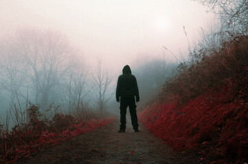 A mystery hooded figure, On a spooky foggy winters day in the countryside, with an eerie colour edit