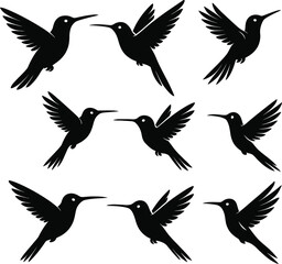set of silhouettes of birds