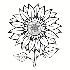 vector illustration of a sunflower
