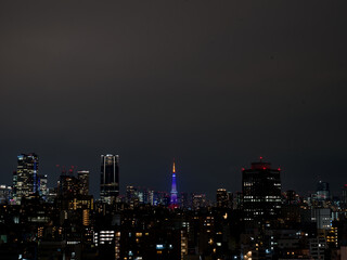 Obraz premium Tokyo Tower Illuminated – A Jewel in the City’s Crown