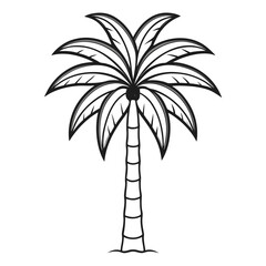 Obraz premium palm tree line art vector