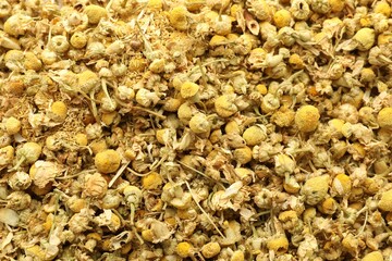 Dry chamomile flowers as background, top view