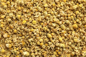 Dry chamomile flowers as background, top view