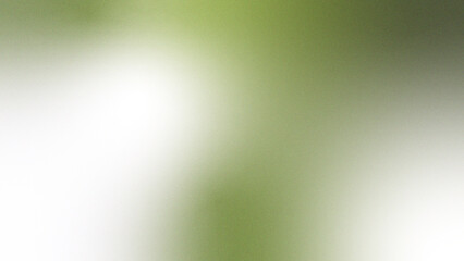 Moss Green - Olive white abstract background. Soft gradient blur with smooth color transition. Fresh minimal texture. Natural light glow. Dreamy ombre blend. Modern digital backdrop. Subtle hazy