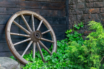 Old wooden wagon wheel leaning against a dark wooden wall and stone structure, surrounded by lush...