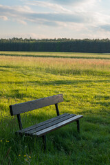 Front view of an empty wooden bench in nature landscape