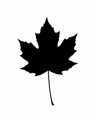 Black Maple Leaf Silhouette on White Background