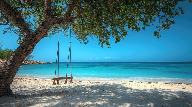 Tranquil beach scene with a swing under a shady tree.
