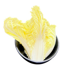 cabbage isolated on white background