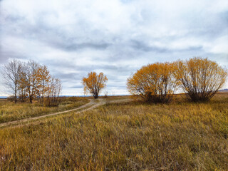 The autumn landscape showcases a picturesque scene, with a winding path meandering through tall,...