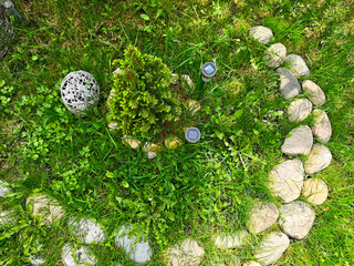 The garden layout is beautifully designed, showcasing a charming small shrub that is artfully...