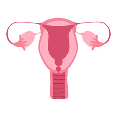 Illustration of the female reproductive system, featuring the uterus, ovaries, and fallopian tubes. Clean and simple medical graphic, perfect for healthcare, education, or wellness design