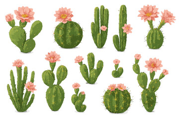 Cactus and flower collection vector illustration for nature posters and designs