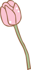 vector illustration of a tulip