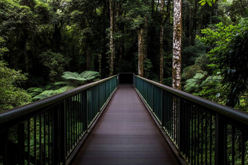 Fototapeta premium Bridge leading into a lush forest with vanishing perspective