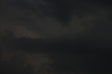 the cloud photo, low angle view
