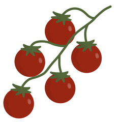 cherry tomatoes on the vine isolated