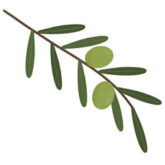 olive branch isolated