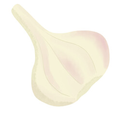 garlic bulb isolated