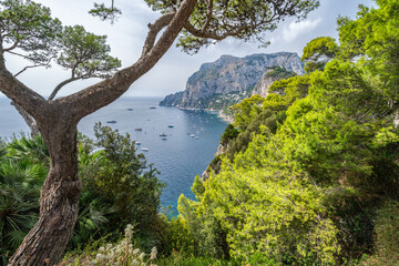 Belvedere di Tragara viewpoint, Capri Island, Italy