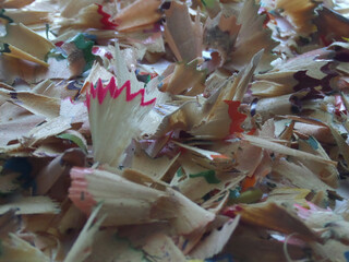 Wood shavings from wooden pencils
