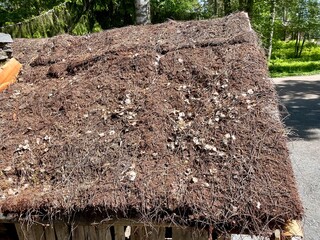Straw roof. Old buildings, 19th century