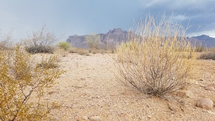 Hiking Towards the Superstition Mountains, Stormy Day, Apache Junction, Arizona 