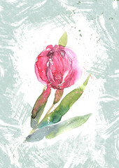 Watercolor tulip, spring summer illustration, gift card for a woman, mom. Creative postcard design with flowers on a textured green background.