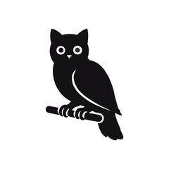 owl on a branch in the Night