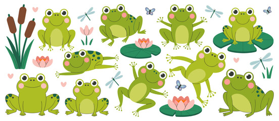 Cartoon frogs collection, cute green frog vector illustrations and pond flora set