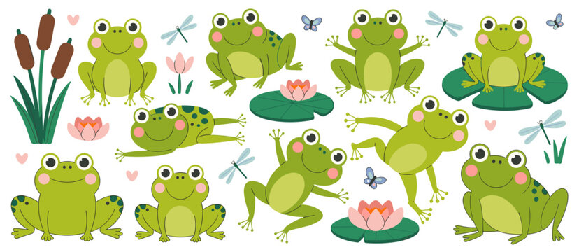 Cartoon frogs collection, cute green frog vector illustrations and pond flora set