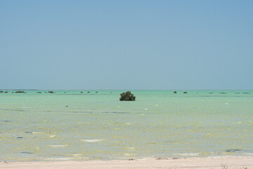 Scenic view of Shamal Beach in northern Qatar, showing casing shallow turquoise waters and isolated...