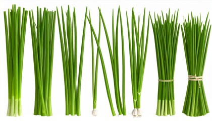 Fototapeta premium Fresh Green Scallions Bundles on White Background
