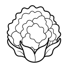 Cauliflower illustration of a flower