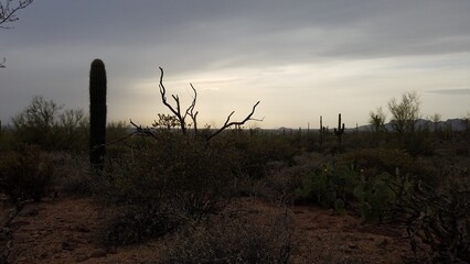 Moody Day in the Superstition Mountains, Hiking from Broadway Trailhead