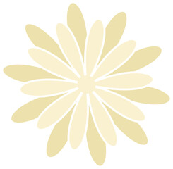 cute colorful flower bloom decoration
