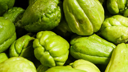 Fototapeta premium Vibrant Green Chayote Squash Harvest Close-Up