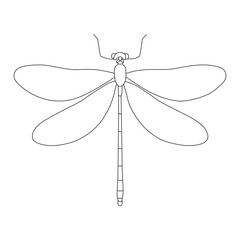 Grasshopper Continuous Line Art vector design. Grasshopper Continuous outline illustration design.