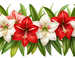 Seamless Horizontal Border of Amaryllis Flowers with Foliage, isolated on transparent background.