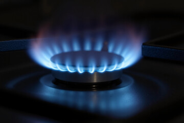 Captivating gas flame burns steadily on stovetop for cooking. Gas flame provides clean energy for cooking delicious meals, preparing dinner, and simmering sauces.