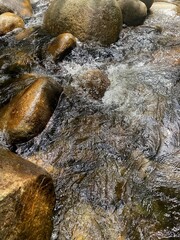 Top-down view of clear water flowing over and around numerous large rocks in a forest river.
