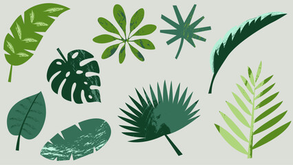 Vector flat illustrations of stylized palm, monstera, and abstract leaves in green hues. Concept of illustrations for children books and nature stories