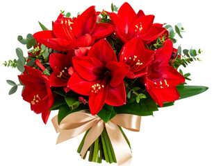 Romantic Red Amaryllis Flower Bouquet with Greenery, isolated on transparent background.