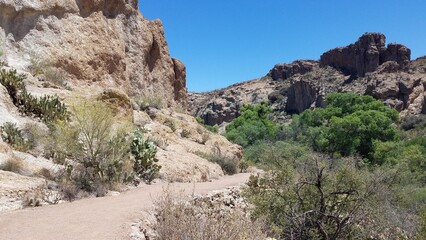 Hiking Trail in Boyce Thompson Arboretum, Superior, Arizona