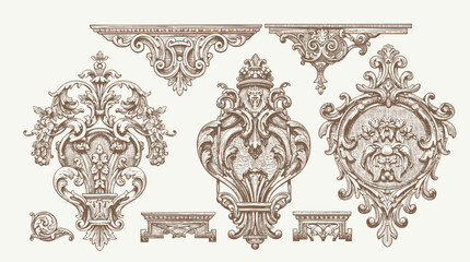 Hand drawn vector retro victorian ornaments set. engraving illustration of Floral decorative vector elements set, rococo and baroque style, vintage royal details
