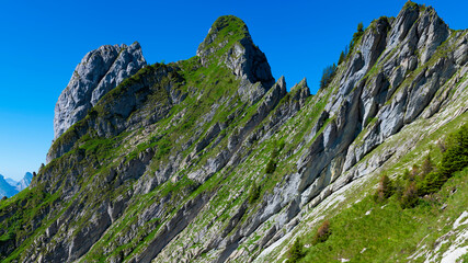 Majestic mountain landscape with rocky peaks and lush greenery under clear blue sky in summer